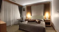 Buyuk Anadolu Eregli Hotel - bar