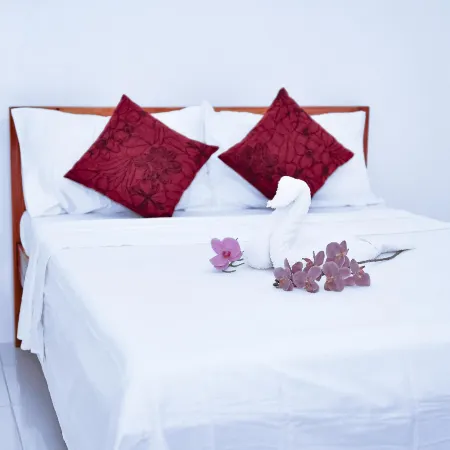 Hotel Don Raul