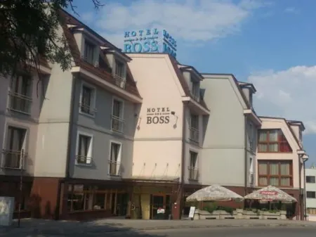 Hotel Boss Отели в г. Раецке-Теплице