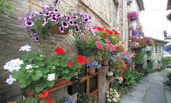 Hotel Palazzo Brunamonti