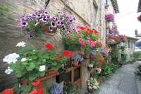 Palazzo Brunamonti Hotel in zona Bartolini Barbara E C. S.N.C.