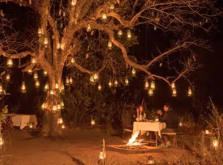 Baghvan Pench National Park - A Taj Safari Lodge