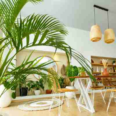 YellowHouse: Modern Villa w/Pool - Central Loc. Others