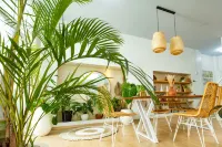 YellowHouse: Modern Villa w/Pool - Central Loc.