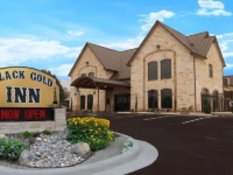 Black Gold Inn Hotels in DeWitt County