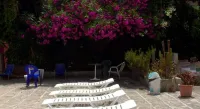 Hotel Morlans Suites - Adults Only
