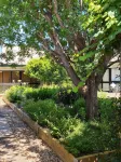 Henry's Quirindi