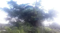 Quarumanu Area Hotels in 