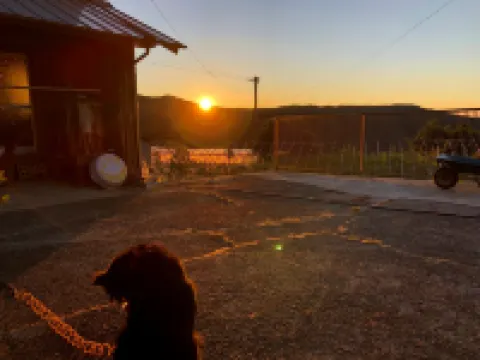 Farmer's Inn Nakajima Mima otelleri