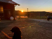 Farmer's Inn Nakajima Hotels in Mima