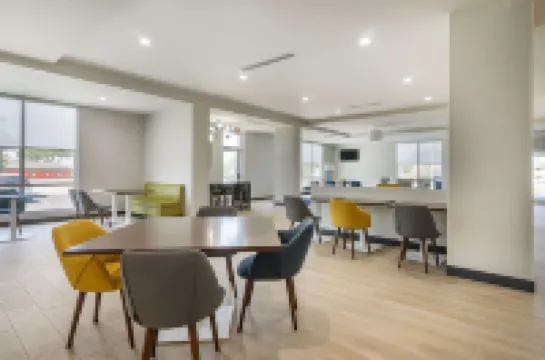 Comfort Inn & Suites New Port Richey Downtown District