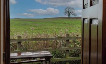 a wooden door with a view of a green field and trees , as well as a bench near the window at The Carrington Arms