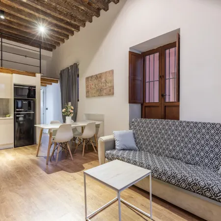 Apartamentos Granada Deluxe 3000
