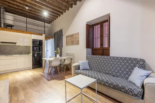 Apartamentos Granada Deluxe 3000 - Evcil Hayvan Kabul Edilen Alan