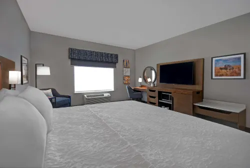 Hampton Inn by Hilton Midland South