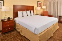 Rodeway Inn - Wifi