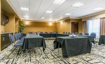 Comfort Inn & Suites Edmonton International Airport
