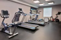 Hampton Inn Boston Bedford Burlington - Gym