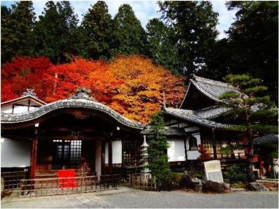 ホテル周辺 下呂温泉 紗々羅の写真