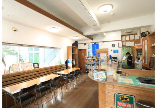 시 프렌드 외관