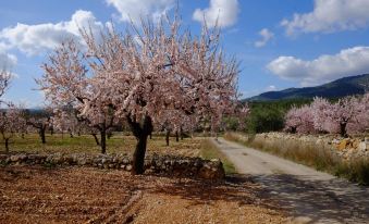 Aldea Roqueta Hotel Rural