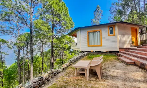 The Woods Retreat