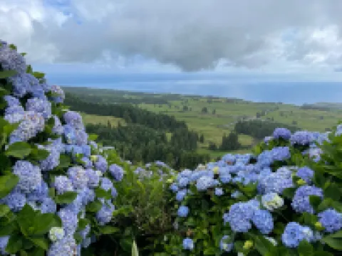 Spacious, Garden, and Private Parking