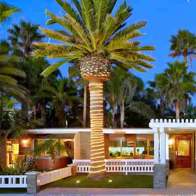 Ocean Palms Beach Resort Hotel Exterior