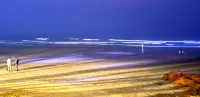 Dallas Beach Resorts - Ocean View