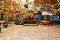 Jewel Igorot Building Hotels in Ла-Тринидад