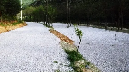 Yeongwol Byeolmaro Village Pension & Camping