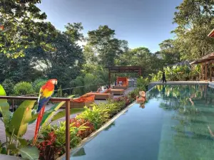 Nayara Gardens