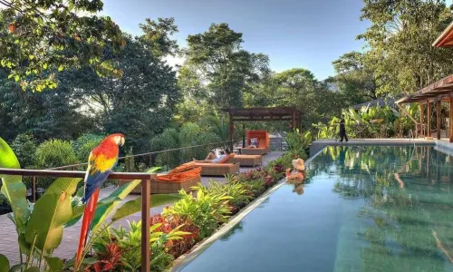Nayara Gardens