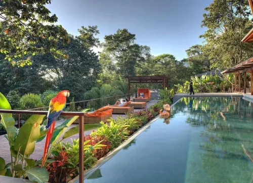 Nayara Gardens