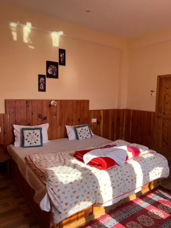 Mozo- Tree House Hostel