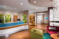 SpringHill Suites Bentonville Hôtels à : Bentonville