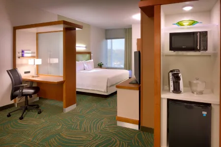SpringHill Suites Houston I-45 North Отели рядом с достопримечательностью «Мерсер Ботаник Гарденс»