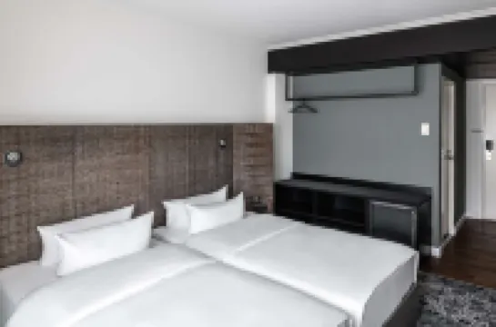 布勞恩史維希貝爾特大飯店 住宿飯店