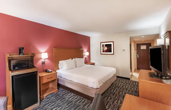 希爾頓歡朋酒店-艾肯