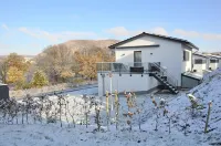 New holiday home directly at the Diemelsee-Willingen-Sauna-3 bedrooms-2 terraces