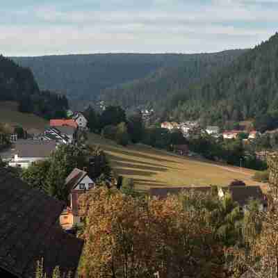 Bright and Friendly Apartment with a View of the Woods Others