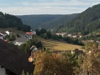 Freshly renovated, bright and friendly apartment with a view of the woods