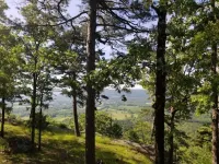 Relax at This Mountaintop Retreat Hotels in Conway County