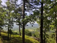 Spend Spring at a Mountaintop Retreat