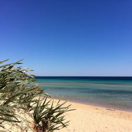 BLUE BAY HOUSE Отели в г. Пату