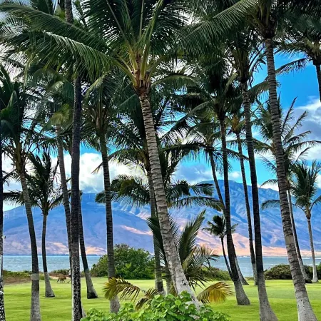 OCT-Nov 2025 Special! 1BA/1 BA Beachfront-Private-Great Location-5 Star Reviews! Отели рядом с достопримечательностью «КИХЕИ БЭЙ СЕРФ»