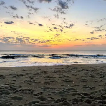 Sand Life - Pelican's Northern Nest -Pet Friendly!