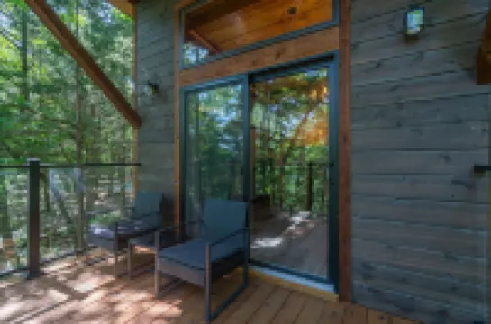Modern High End Cabin #1 on Horsehead Lake