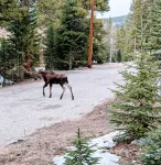 Peace and Quiet Just Minutes from Breckenridge