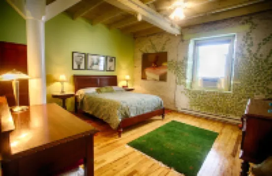 In Town Loft Apartment in 19th C Stone Wireworks Factory (2000+ sq ft)